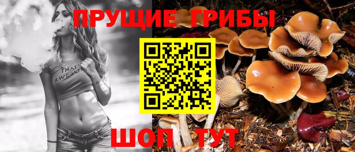 Галлюциногенные грибы ЛСД Москва