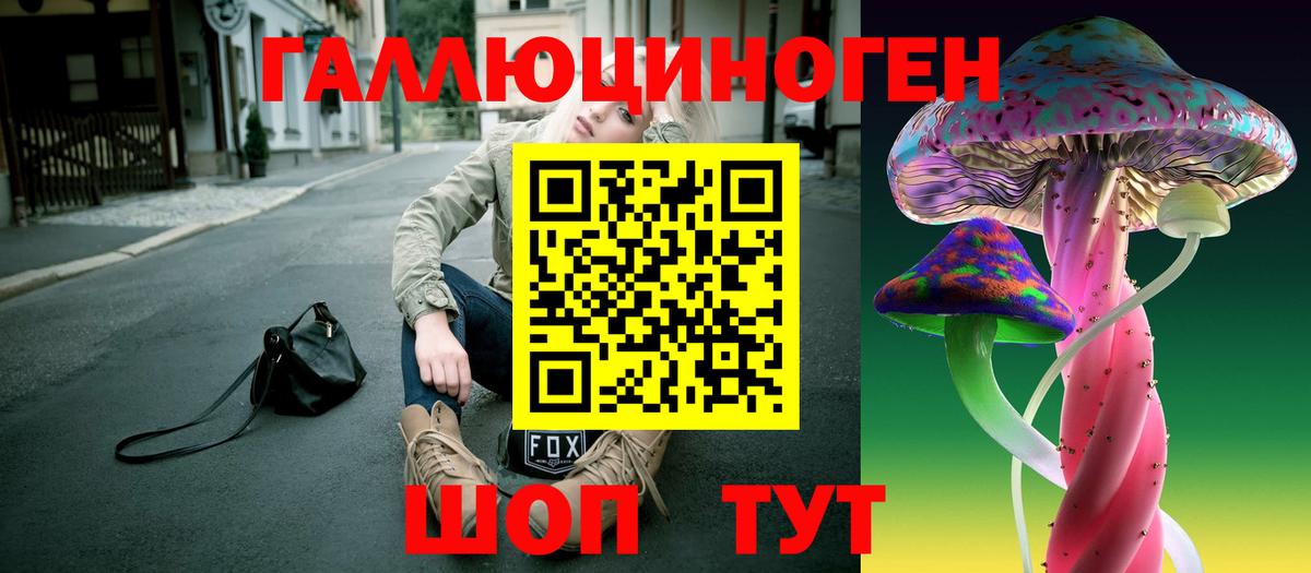Галлюциногенные грибы Psilocybine cubensis  Вход с VPN  Псилоцибиновые грибы Psilocybe  Москва 
